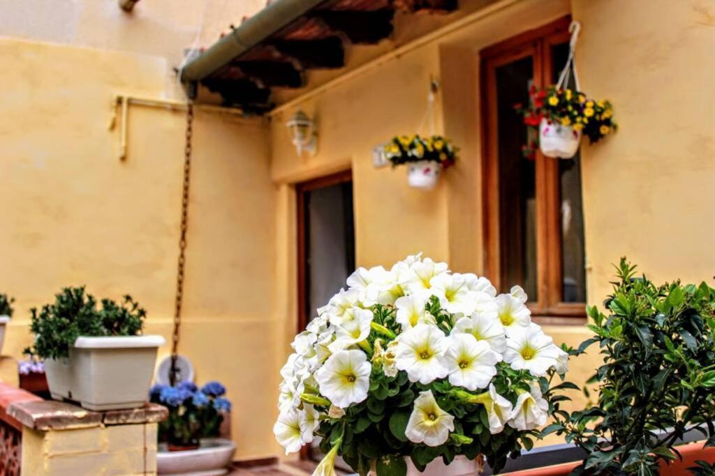 Вілла Panoramic And Beautiful House 4Km From The Sea. Розіньяно-Мариттімо Екстер'єр фото